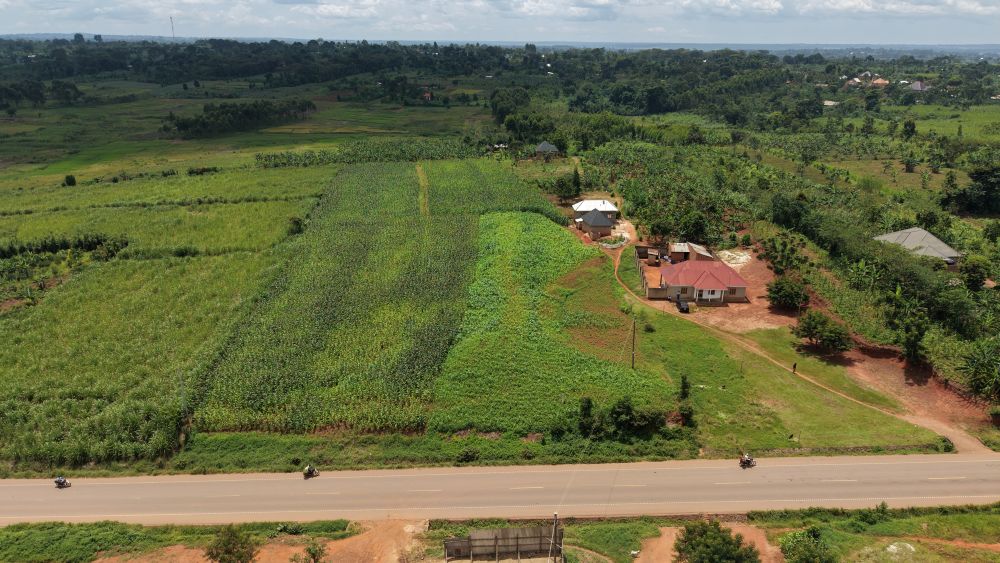 This land for sale in Nazigo Kayunga