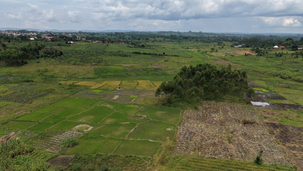 This land for sale in Nazigo Kayunga